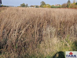 Działka Wolice gmina Barcin 