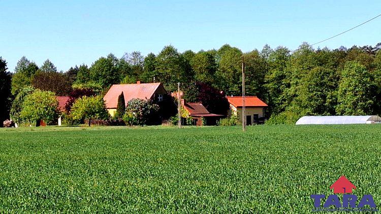 Żyj w zgodzie z naturą!