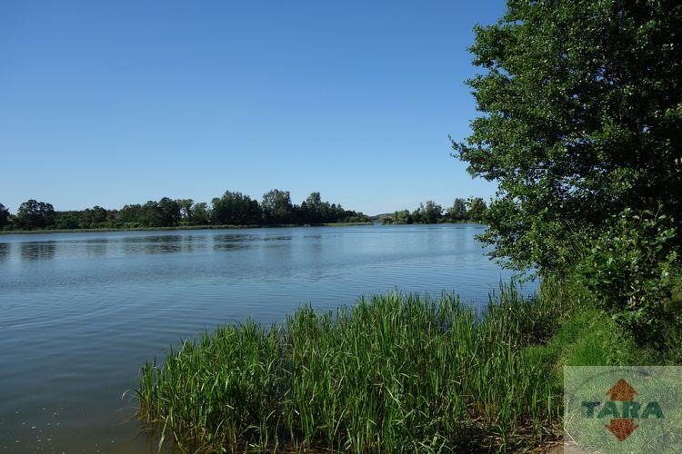 Dzialka — Wolice — zdjęcie 2
