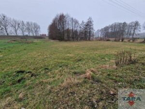 Działka w budowlana w Pturku — zdjęcie 5