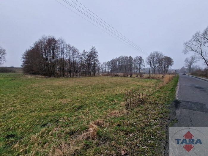 Działka w budowlana w Pturku — zdjęcie 6