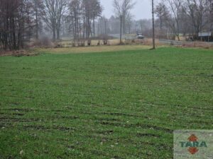 Działka w budowlana w Pturku — zdjęcie 7