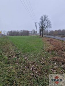 Działka w budowlana w Pturku — zdjęcie 8