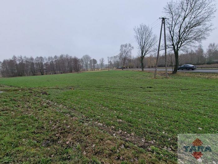 Działka w budowlana w Pturku — zdjęcie 9