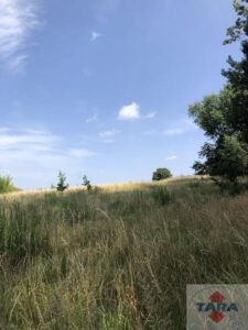 Działka budowlana Łabiszyn Wieś — zdjęcie 8