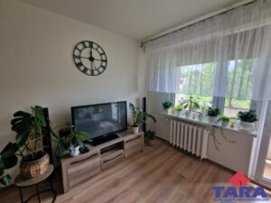 Przytulne mieszkanie w Żninie — zdjęcie 5