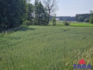 Duża działka, blisko jeziora z WZ! — zdjęcie 2