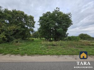 Działka z warunkami zabudowy w Wolicach-Barcin. — zdjęcie 7