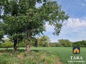 Działka 6218 m² na sprzedaż — Wolice — zdjęcie 7