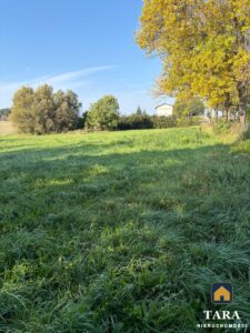 Działka 5 800 m² pod zabudowę zagrodową – Zalesie koło Rogowa — zdjęcie 13
