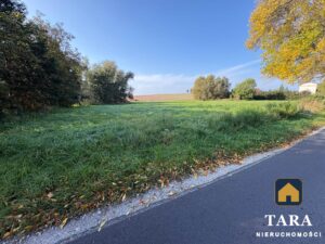 Działka 5 800 m² pod zabudowę zagrodową – Zalesie koło Rogowa — zdjęcie 14