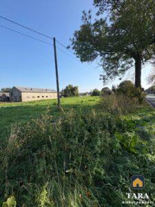Działka siedliskowa w Zalesiu koło Rogowa — zdjęcie 8